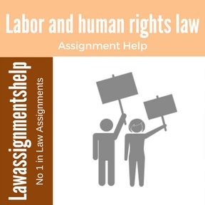 Labor and human rights law Assignment Help